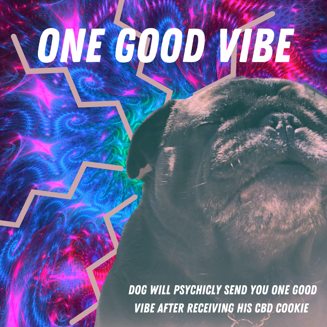 Dog, eyes closed, sun on his face, vibing. Psychedelic background with vibe waves eminating off Dog, text reading "one good vibe. Dog will psychically send you one good vibe after receiving his CBD cookie."