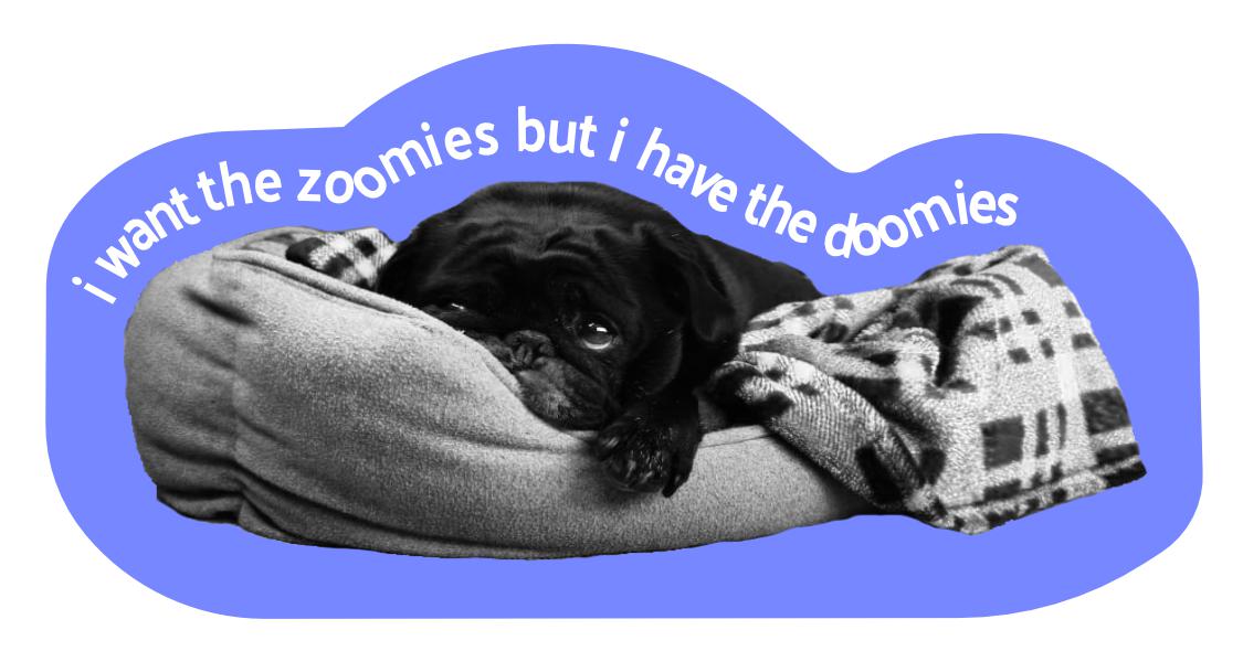 Dog Vet Fund Sticker